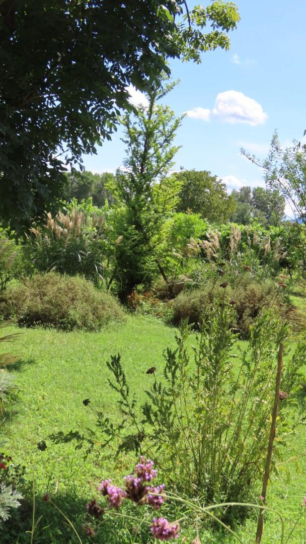 Ca Veja B&B Forli Luaran gambar