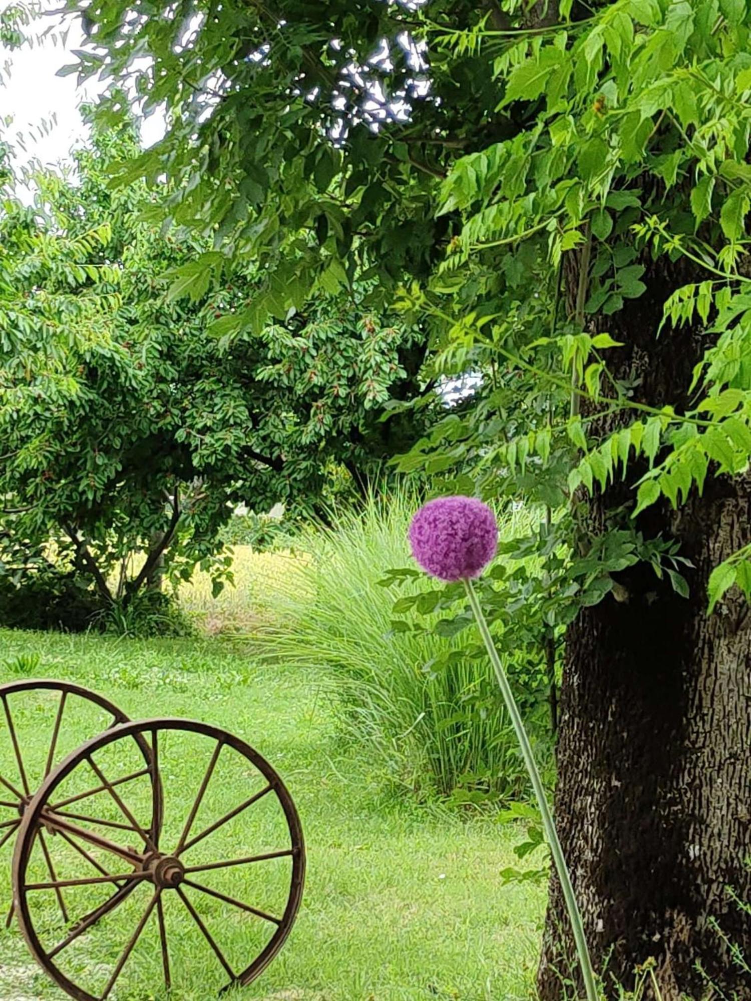 Ca Veja B&B Forli Luaran gambar